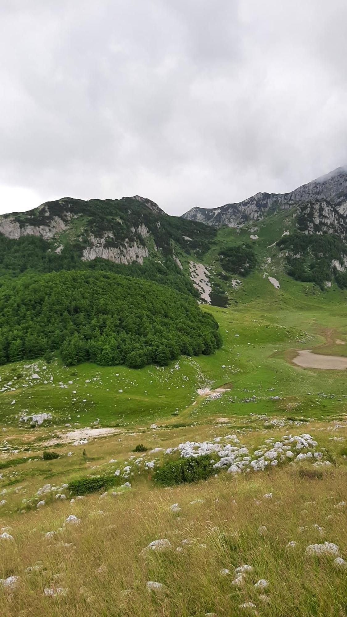 Apartments Durmitor Žabljak Exterior foto