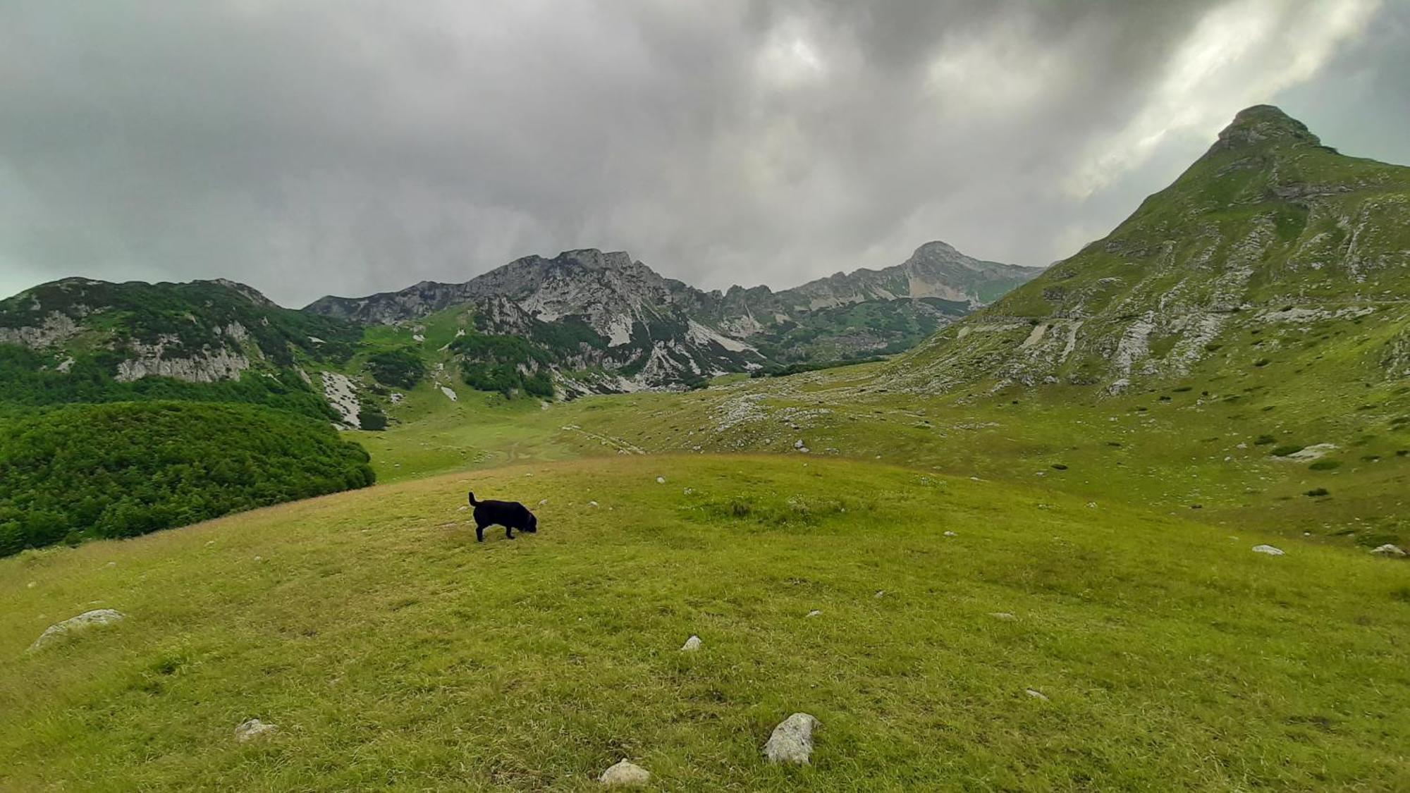 Apartments Durmitor Žabljak Exterior foto