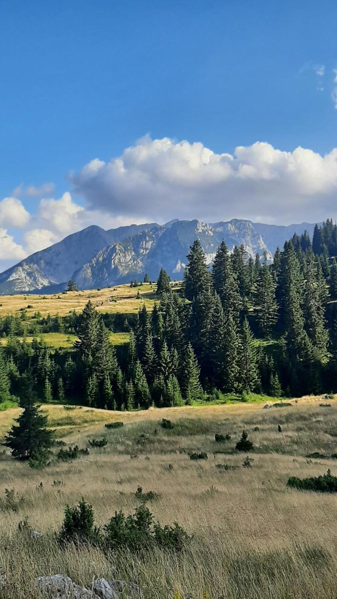 Apartments Durmitor Žabljak Exterior foto