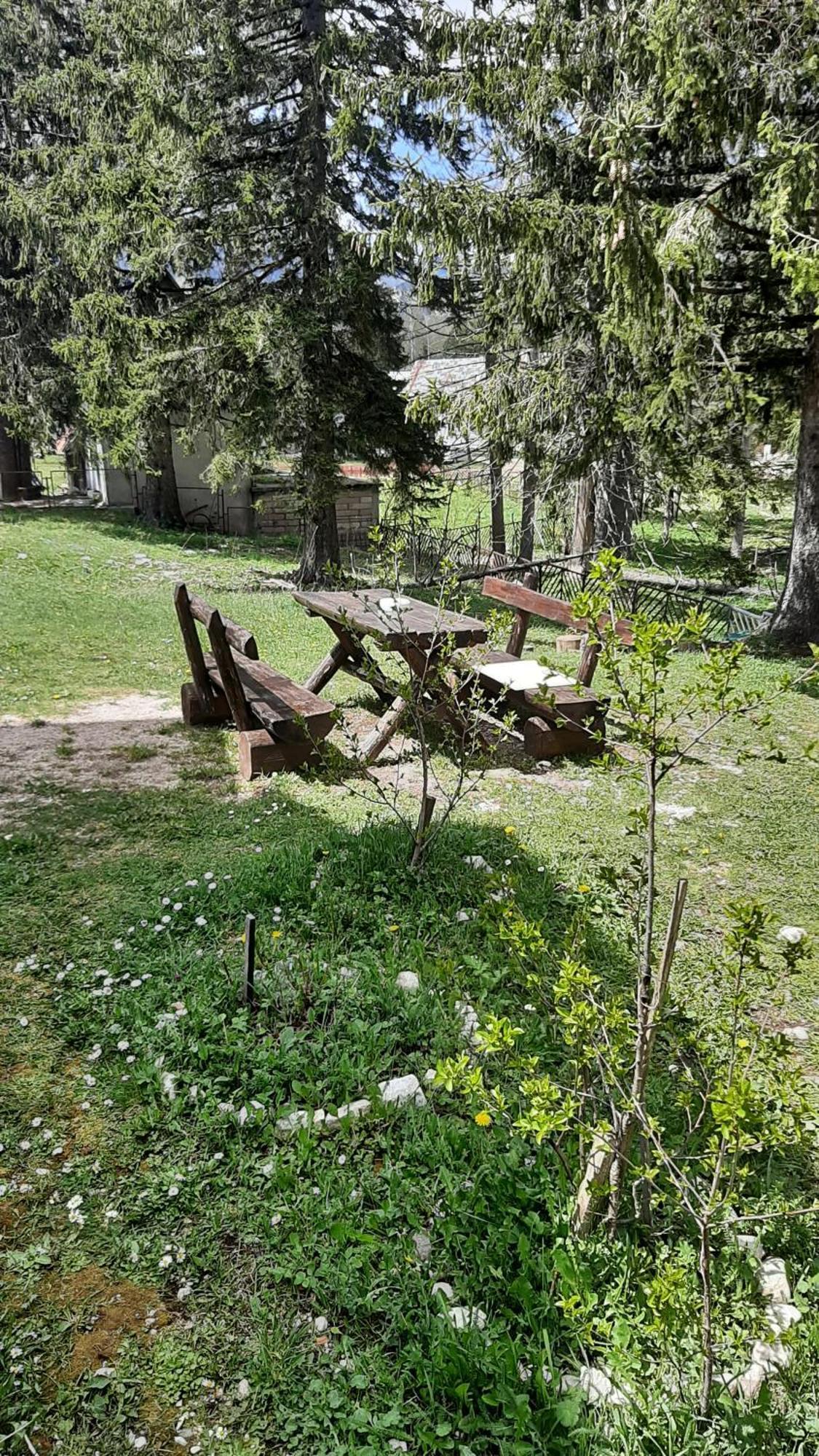 Apartments Durmitor Žabljak Exterior foto